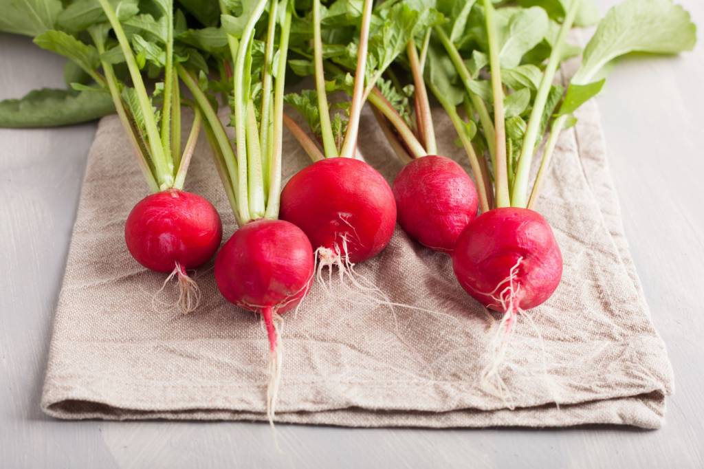 fresh seasonal ingredients radish may organic