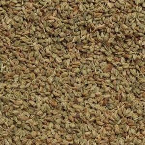 Ajwain Seeds are sourced from Rajasthan region of India