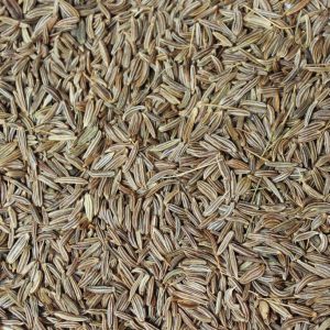 caraway seeds